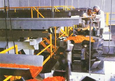 1989 production line